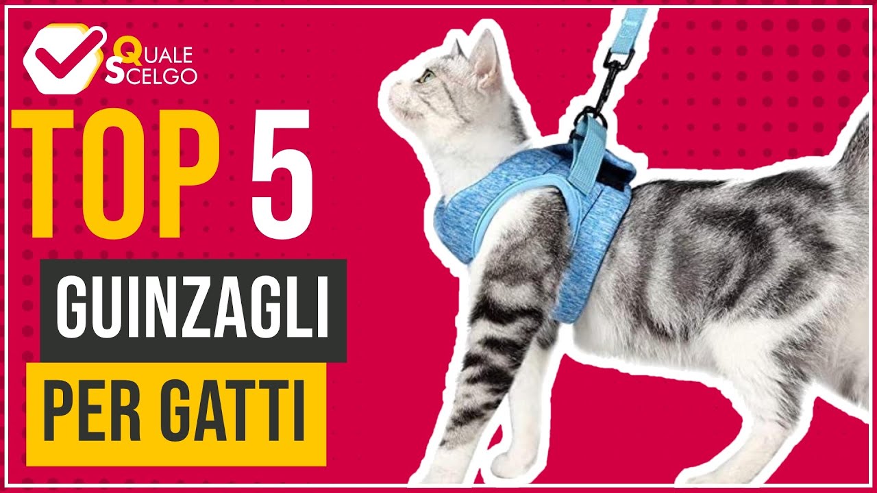 Guinzagli per gatti - Top 5 - (QualeScelgo)