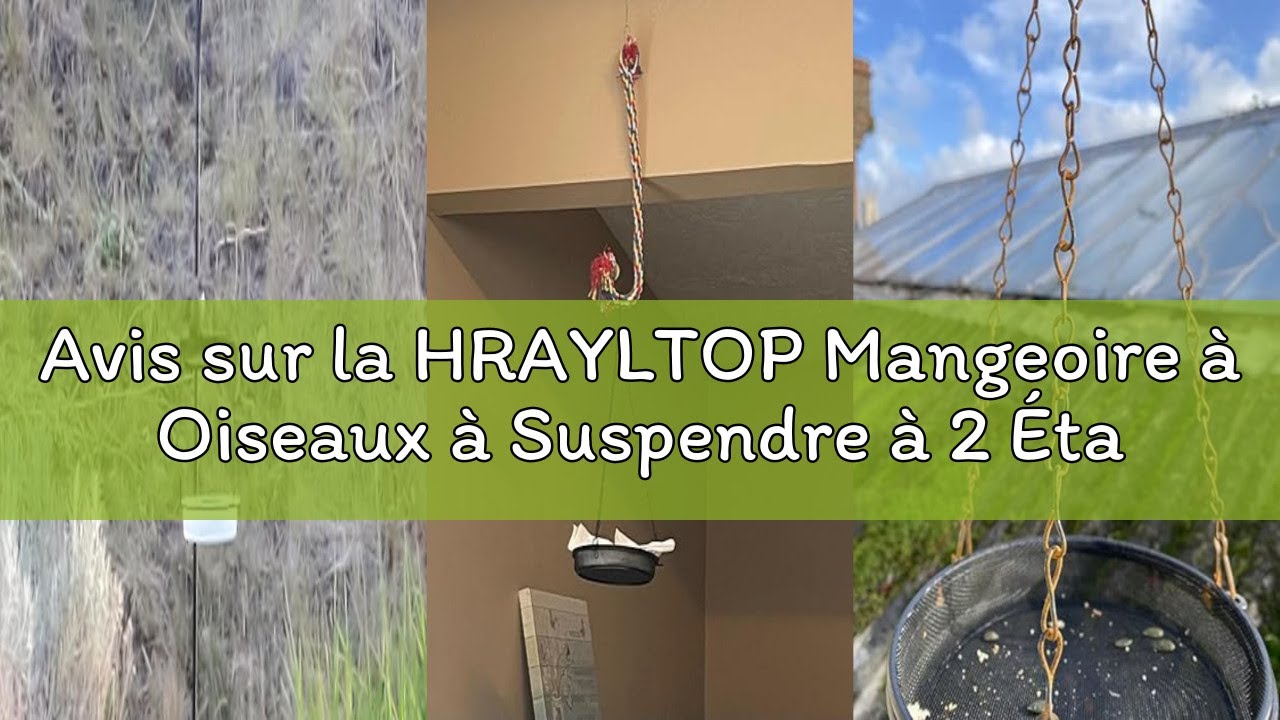 Avis sur la HRAYLTOP Mangeoire à Oiseaux à Suspendre à 2 Étages, Plateau en Maille Métallique de Qua