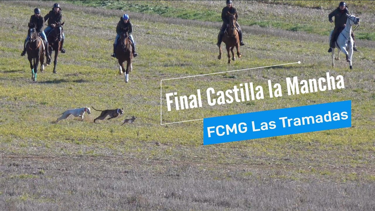 Final provincial de Castilla la Mancha de Galgos 2024, en Las Tramadas