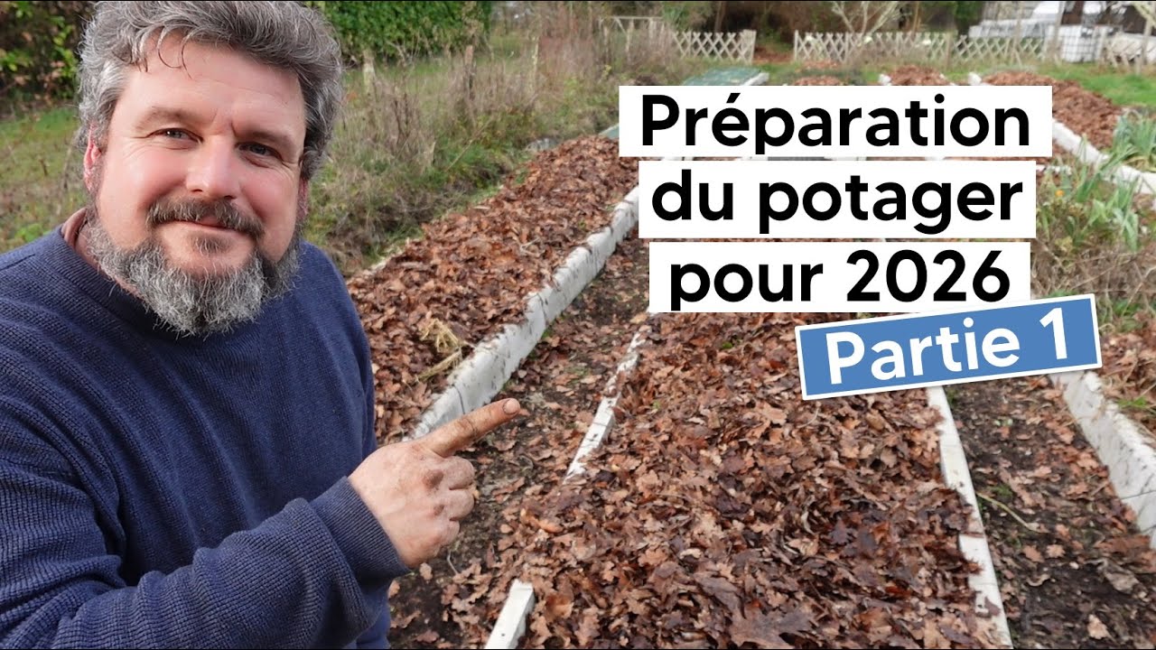 [VLOG de Noël, partie 1] Préparation de la saison 2026