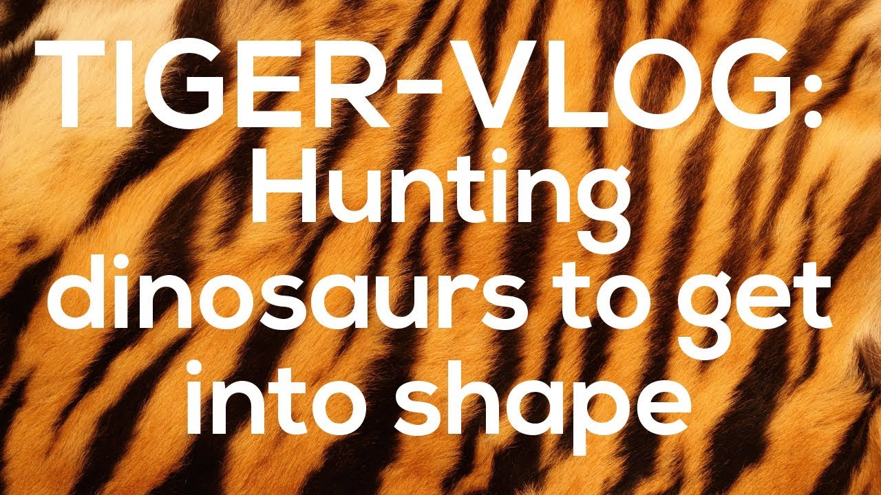 Hunting dinosaurs to get into shape - TigerVLOG