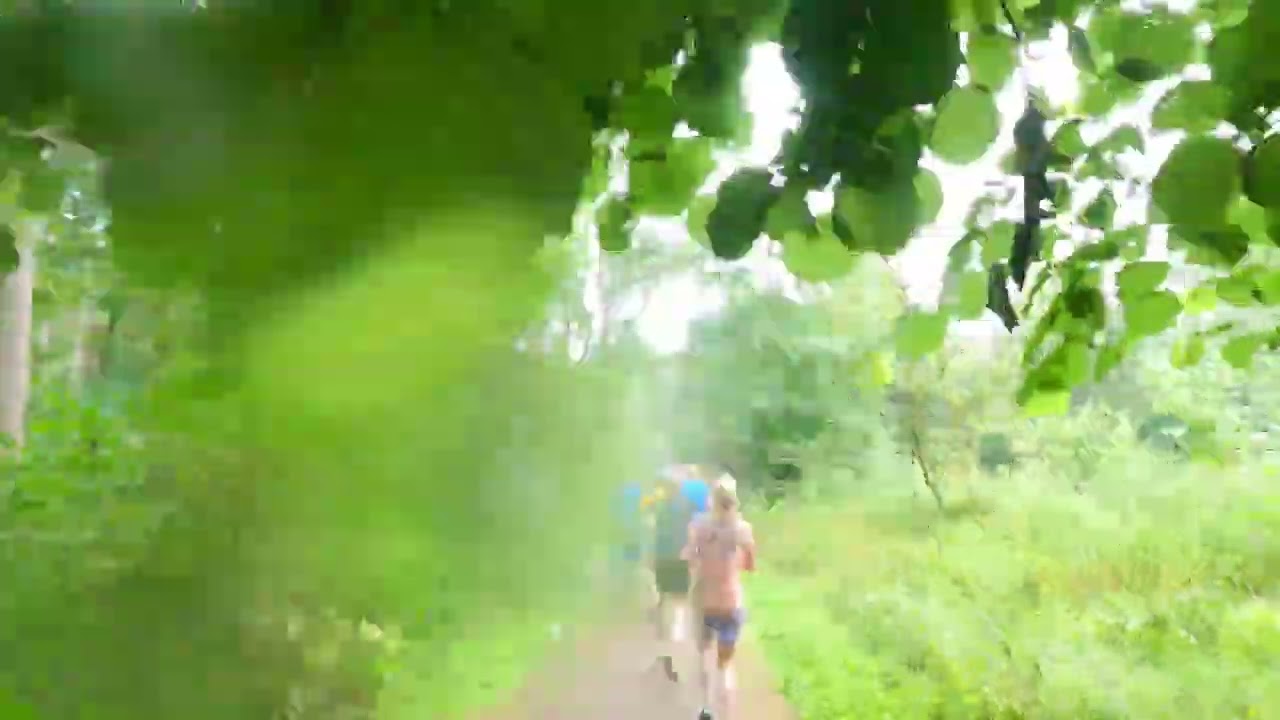 Kralingsebos parkrun 100th edition ( 22-7-23)