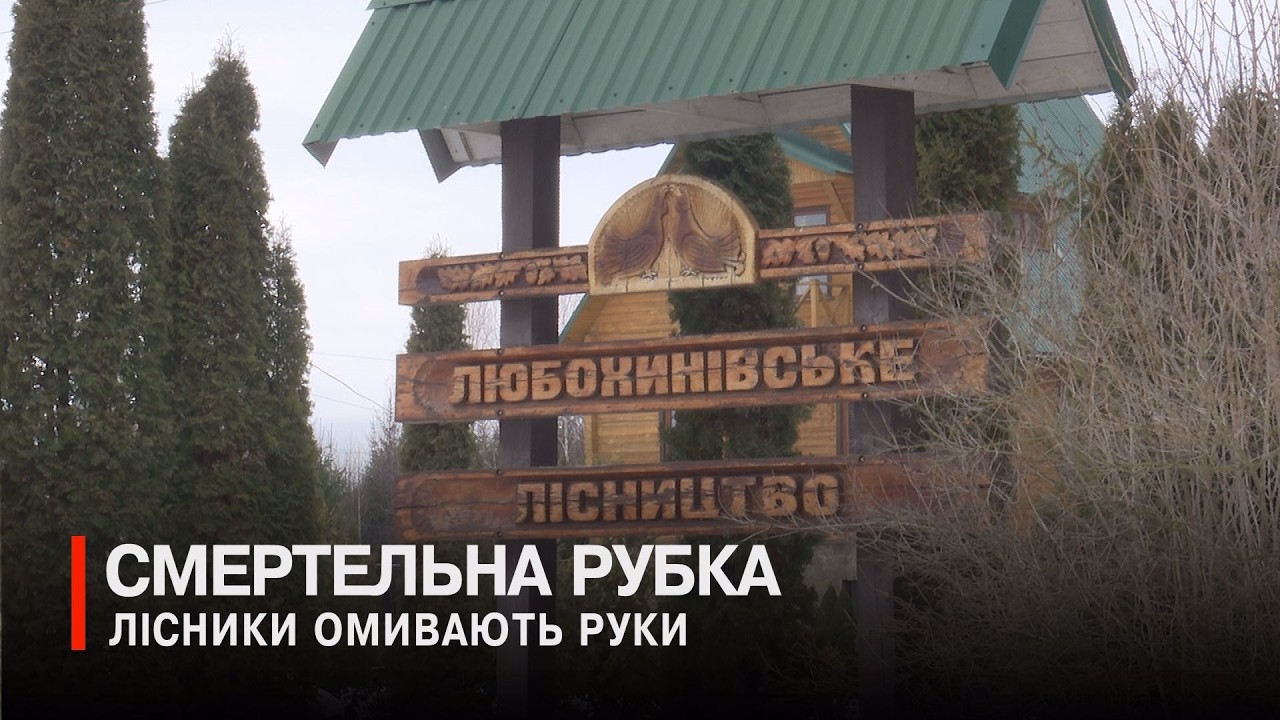 Життя стає платою за дрова: на рубці лісу загинув житель Смолярів
