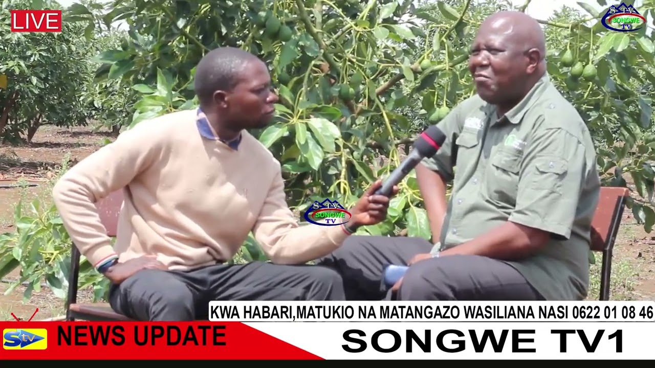 MFANYAKAZI WA BENKI KUU YA TZ ALIACHA KAZI  NA KUKIMBILIA KILIMO CHA PARACHICHI SONGWE.