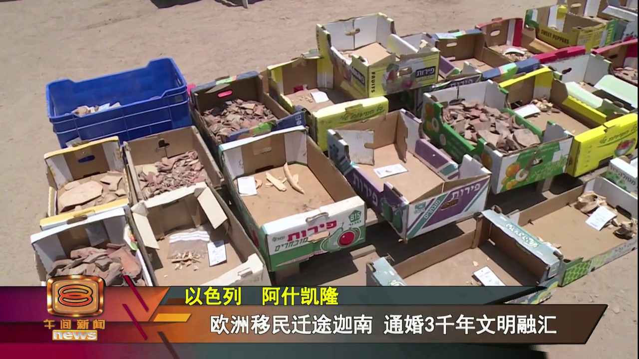【10出土骸骨基因鉴定&nbsp;非利士人源自欧洲】
