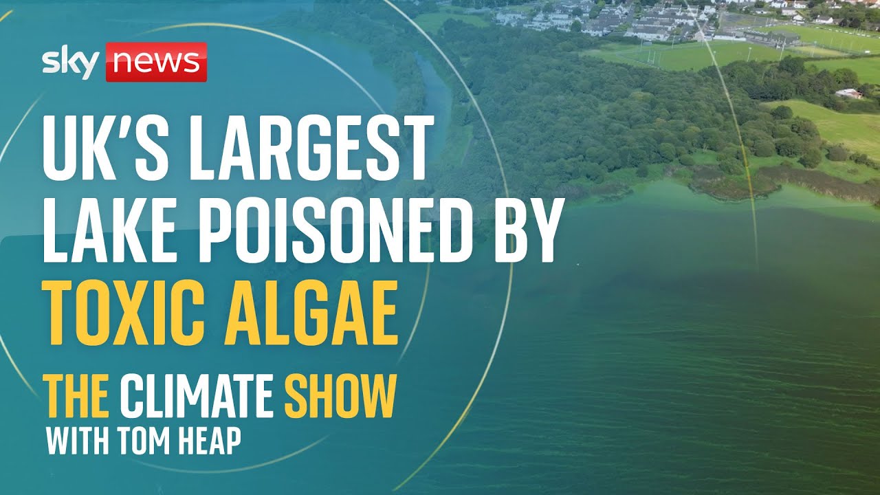 Who’s to blame for killing Lough Neagh? | Climate Show with Tom Heap