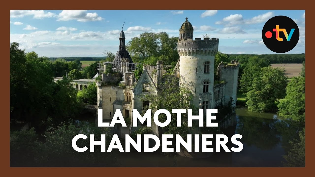 Insolite. Un château habité par des arbres, bienvenue à La Mothe Chandeniers