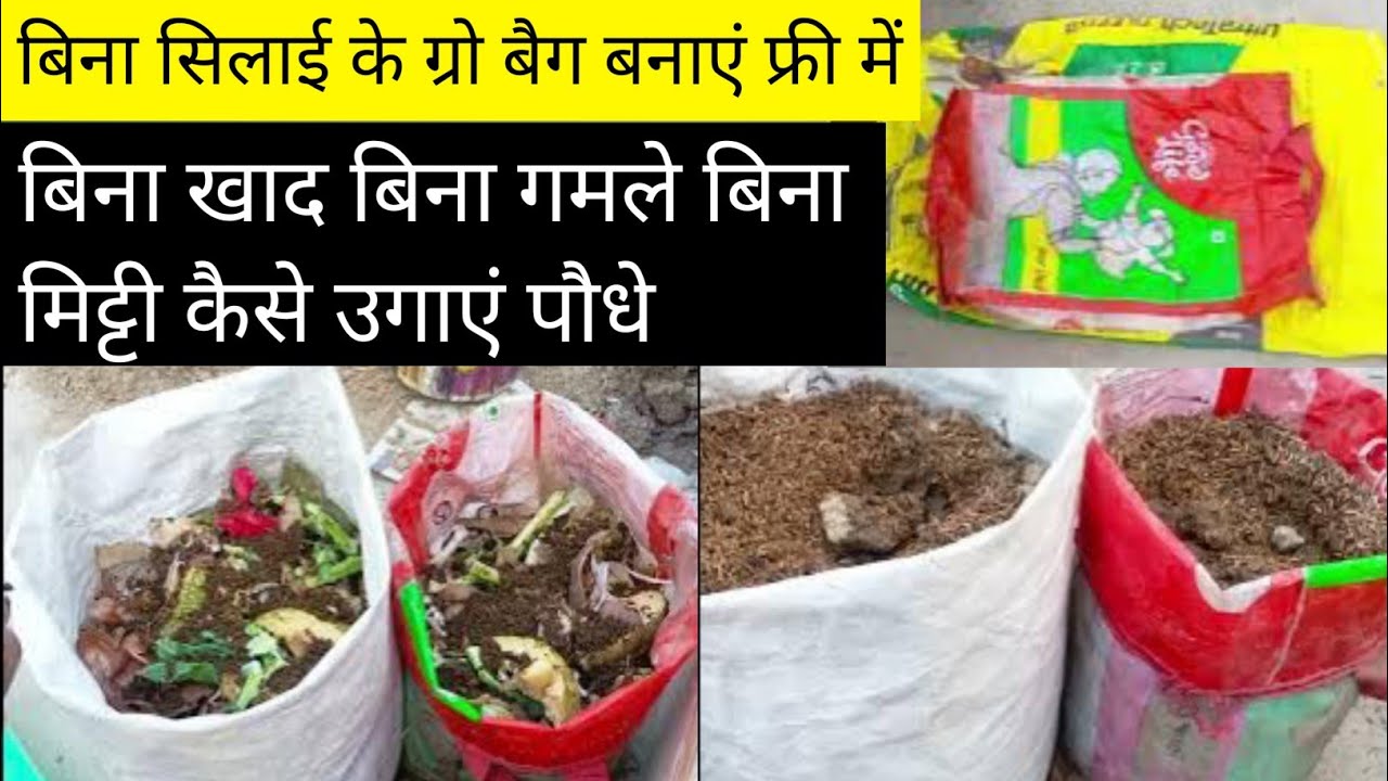 बिना गमला बिना खाद बिना मिट्टी के पौधे कैसे उगाएं/How To Grow plants without pots and Compost & soil