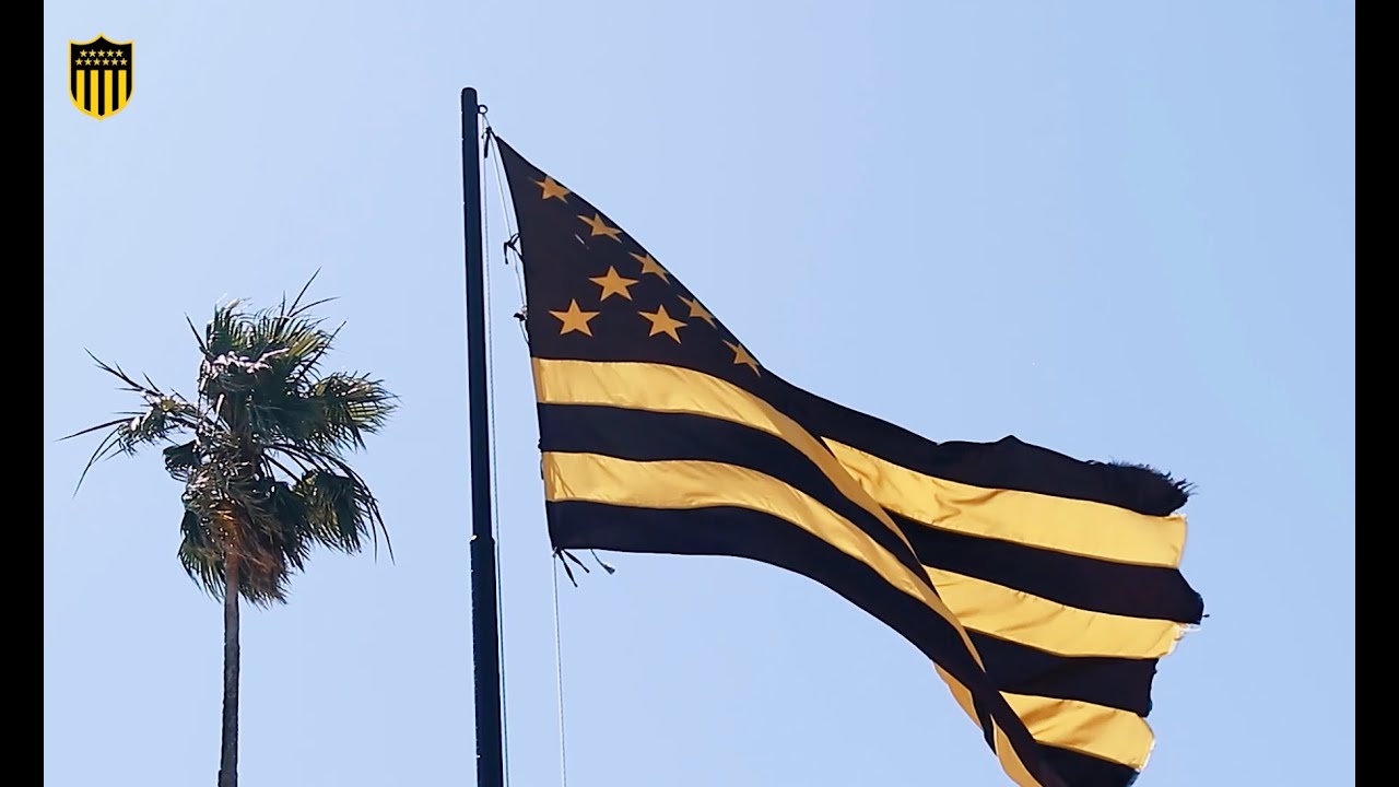 Renovación Los Aromos