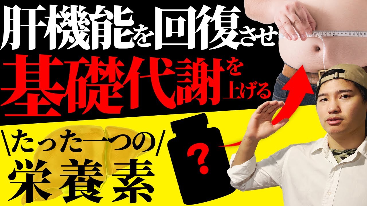 【ダイエットの味方】肝機能を改善して基礎代謝を上げるために必要なのはこれ。