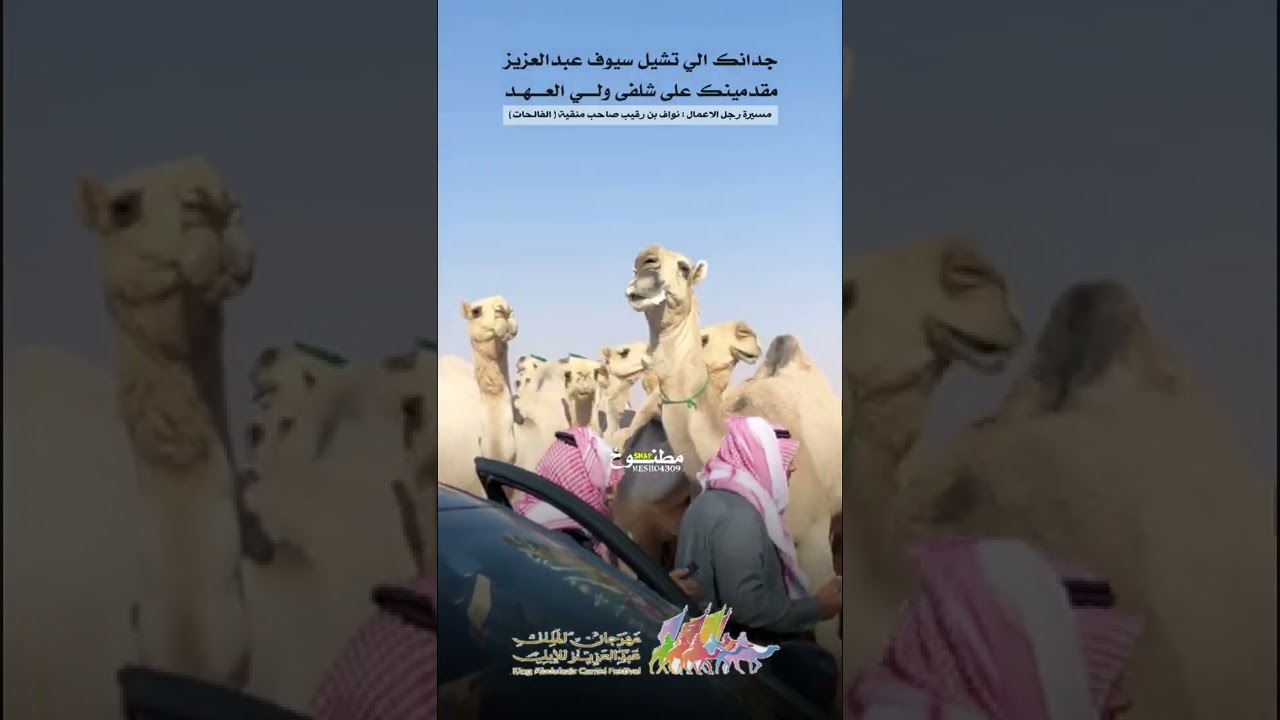 مسيرة رجل الاعمال/نواف ابن رقيب الرشيدي🔥🥇