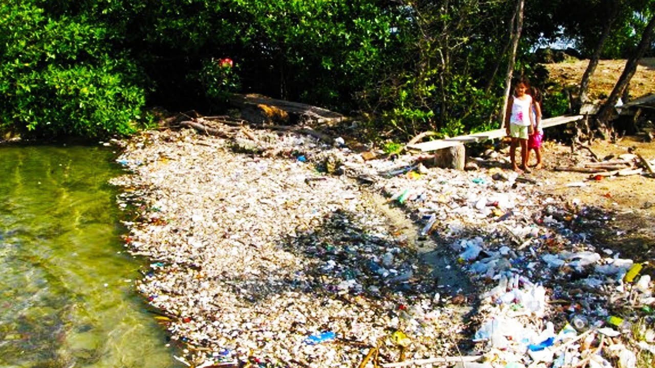 Plastic Destroying Island Paradise