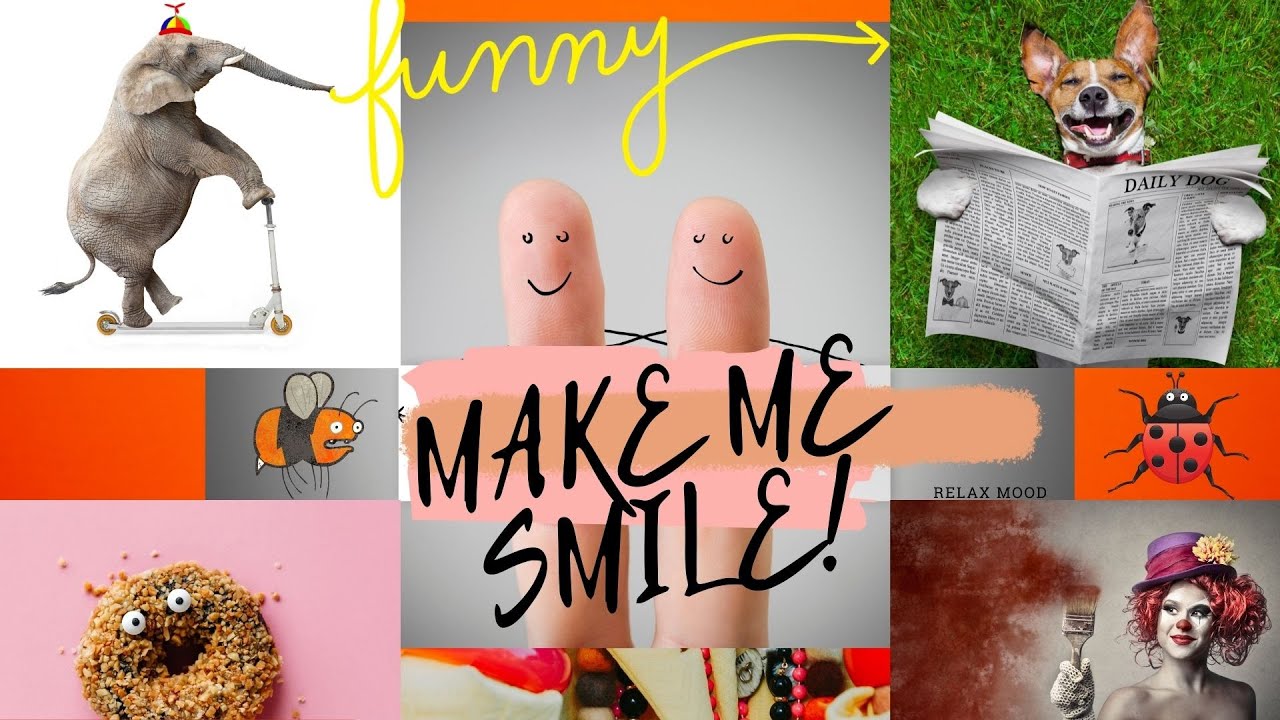 FUN MUSIC | MAKE ME SMILE | HAPPY MUSIC | TOP MUSIC 2022 | BEST MUSIC 2022 | MUSIC 2022