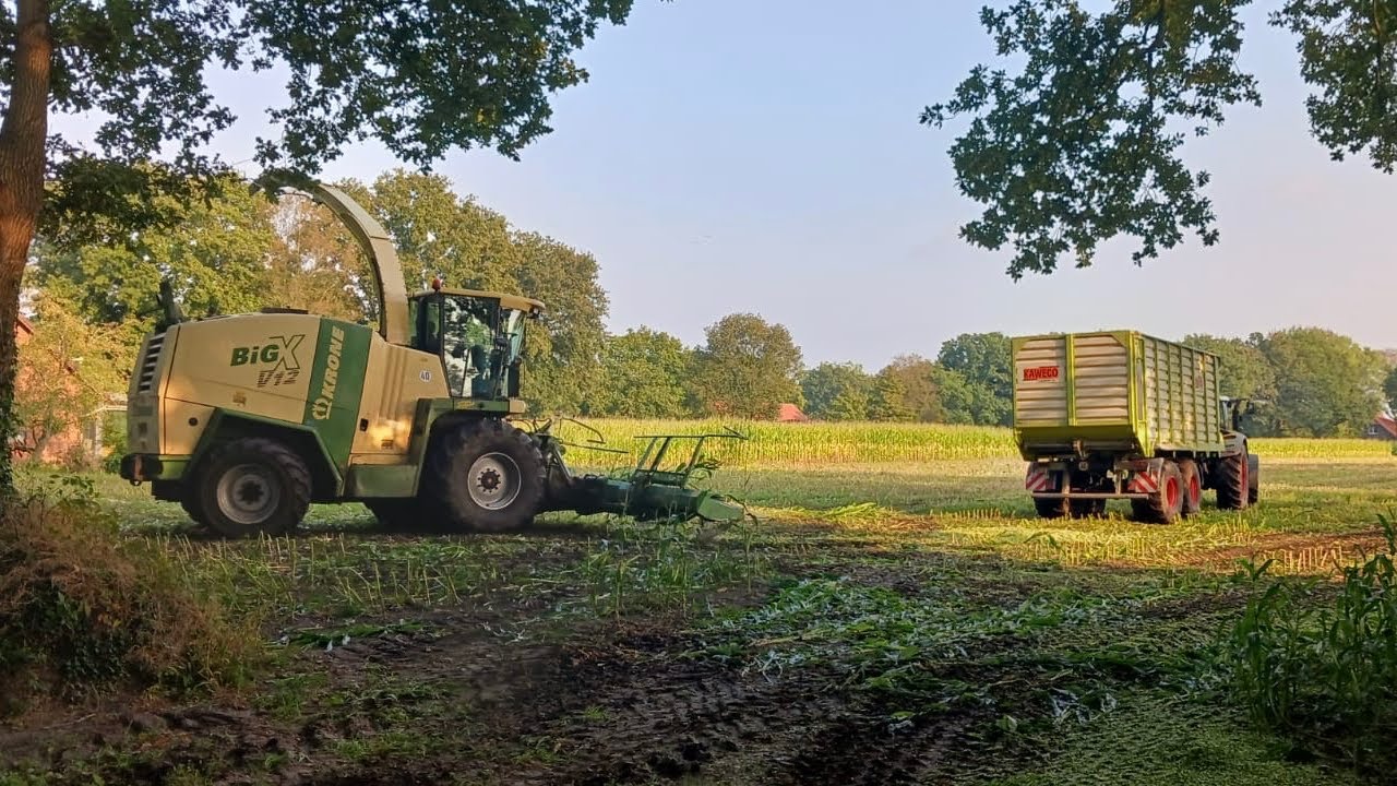 Krone Big X V12 in der Maisernte! | Mais 2024