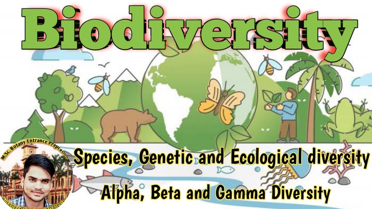 Types of Biodiversity| Alpha beta and gamma Diversity