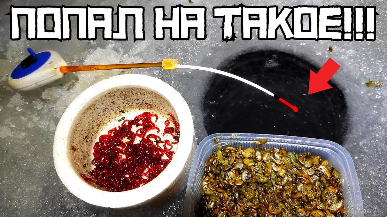 НАРВАЛСЯ НА НЕЧТО! Не думал, что будет ТАКОЙ КЛЁВ! Сложная рыбалка в декабре 2024.