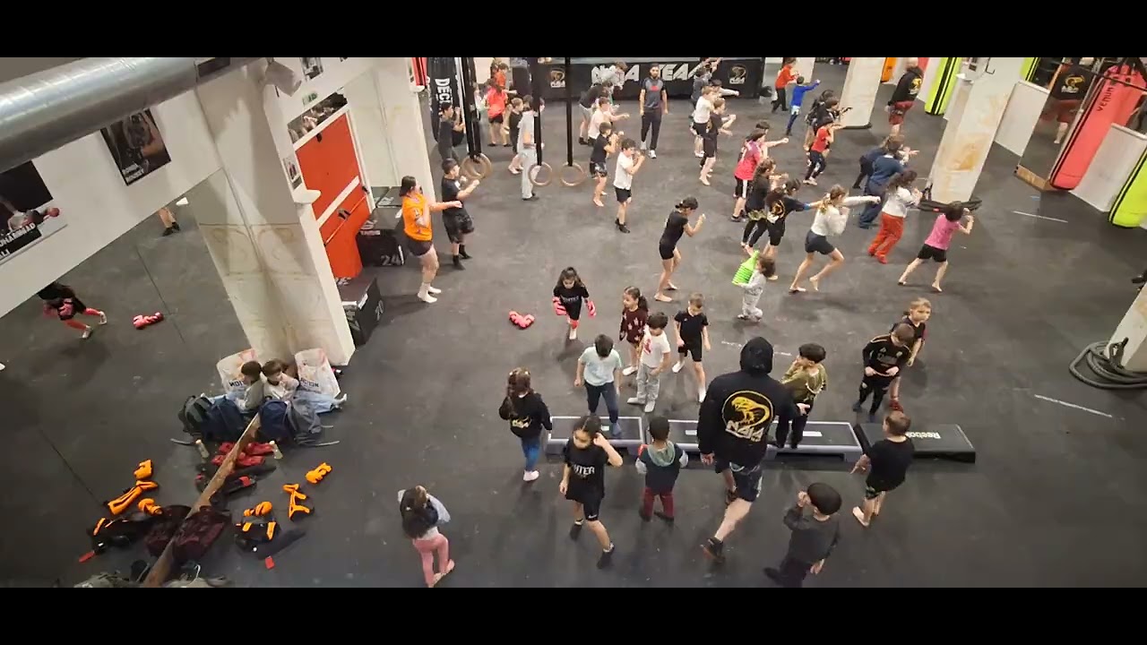 Muay Thai Fight 
