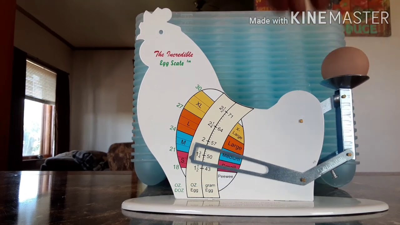 The Incredible Egg Scale
