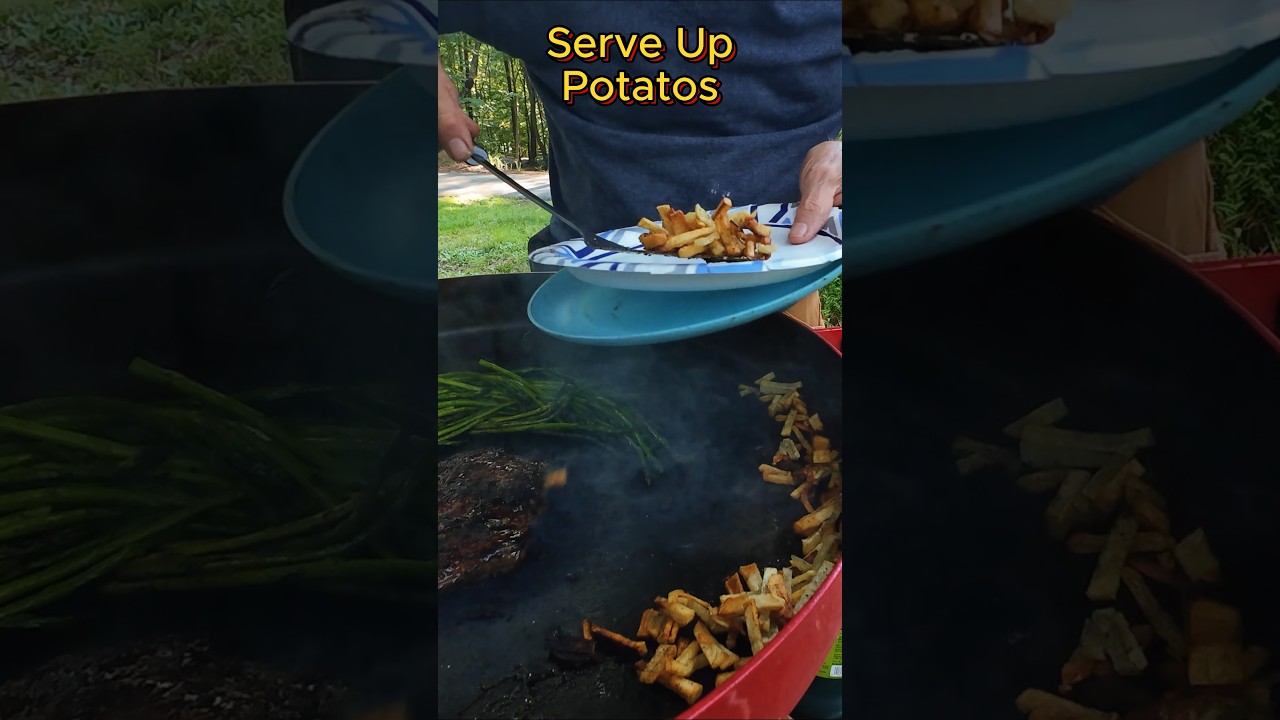 Camp Grilling Fire Disc