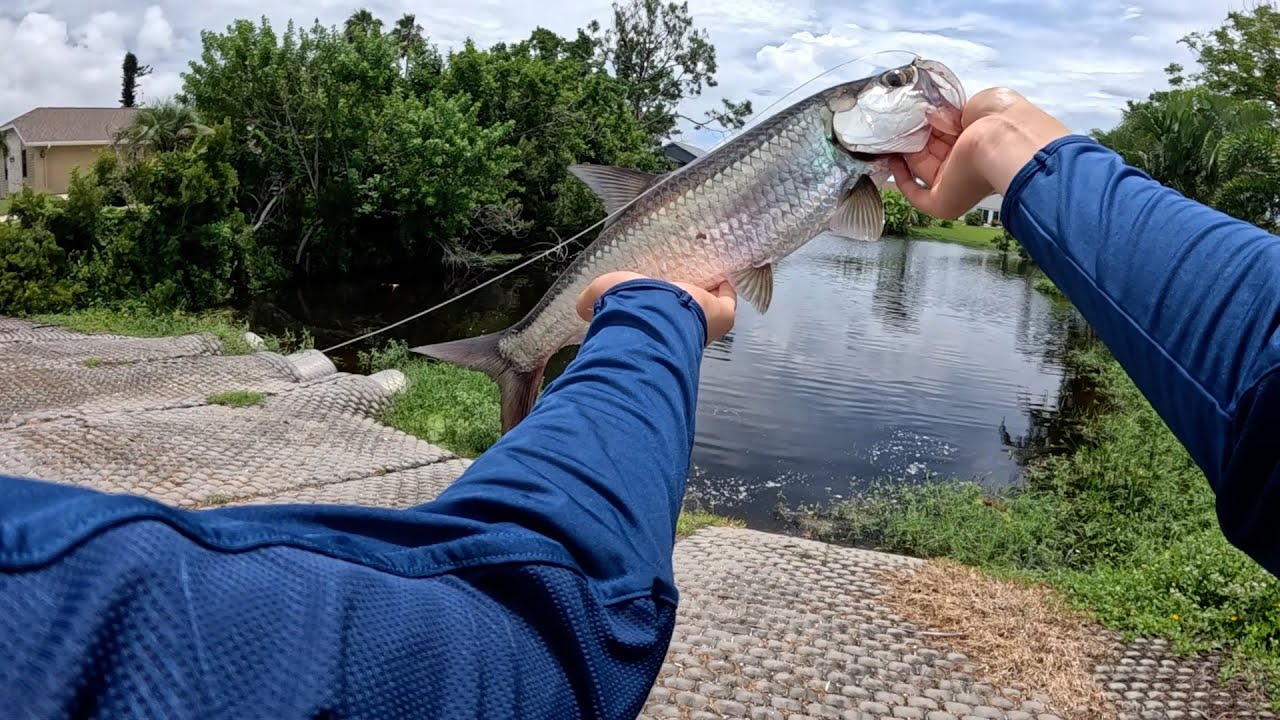 Fishing roadside Canals for TARPON!! Crazy KAREN YELLS AT ME!