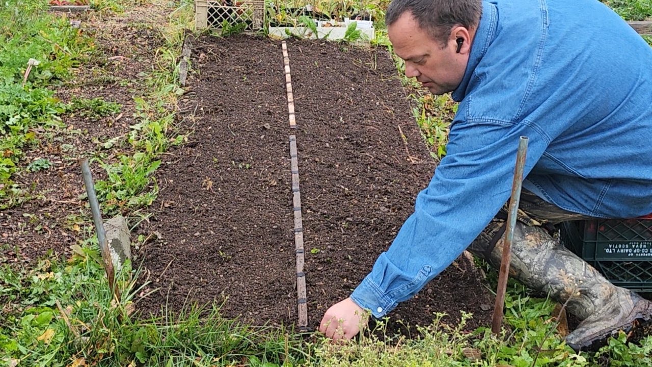 Late October planting