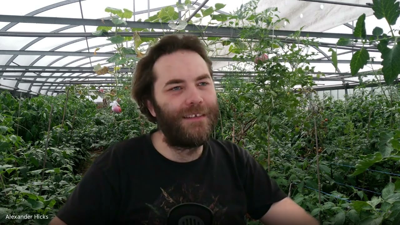Der richtige Dünger für Chilipflanzen - ein kleiner Einblick