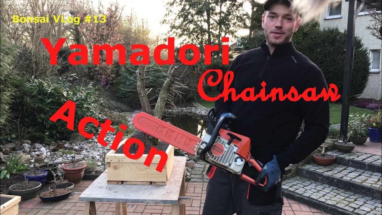 Yamadori Chainsaw Action - Hainbuche und Weißdorn auf dem Weg zum Bonsai | Bonsai VLog #13
