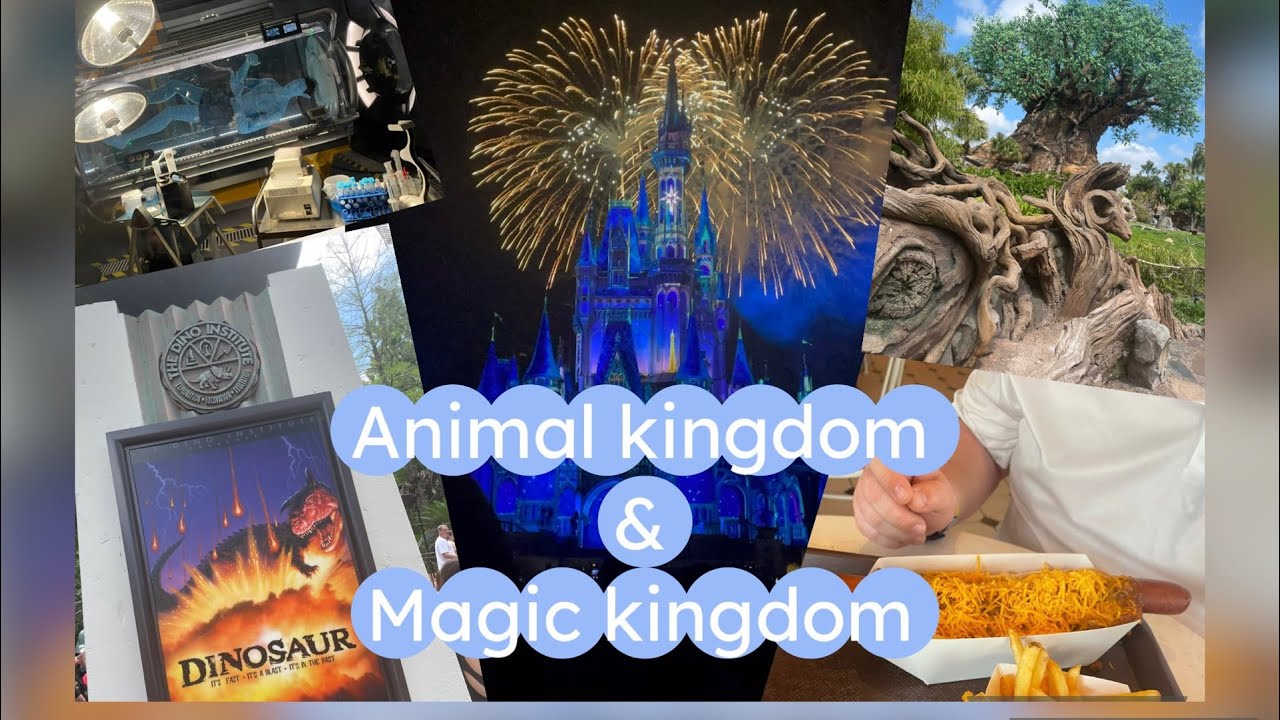 Animal kingdom & Magic Kingdom, Happily Ever After , Walt Disney World Day 5