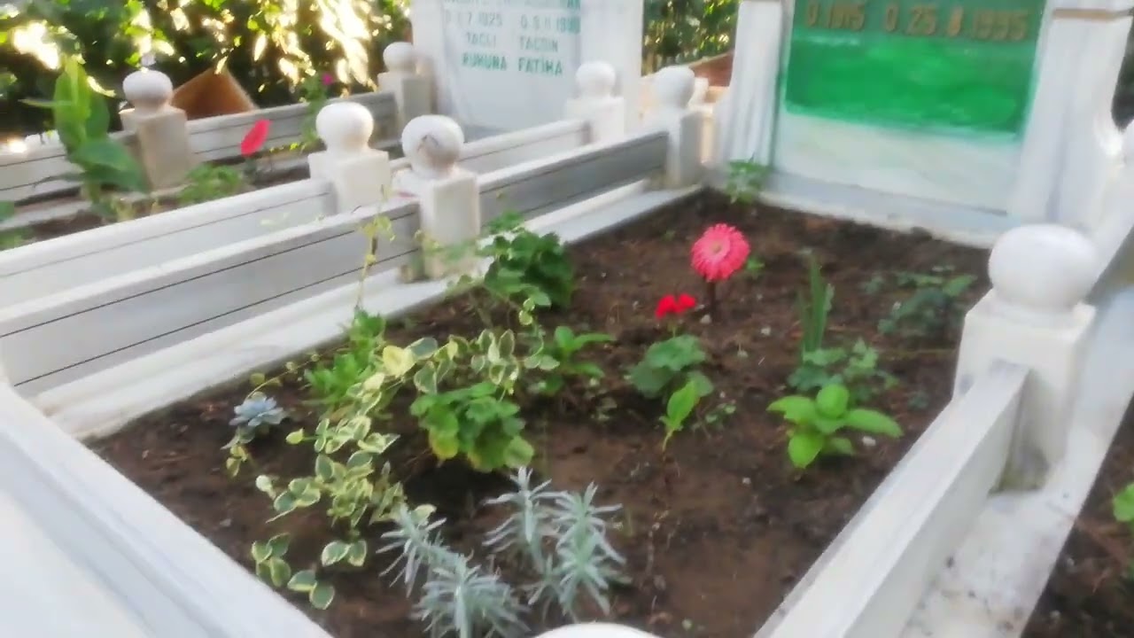 Samsun t&uuml;rbe ziyareti