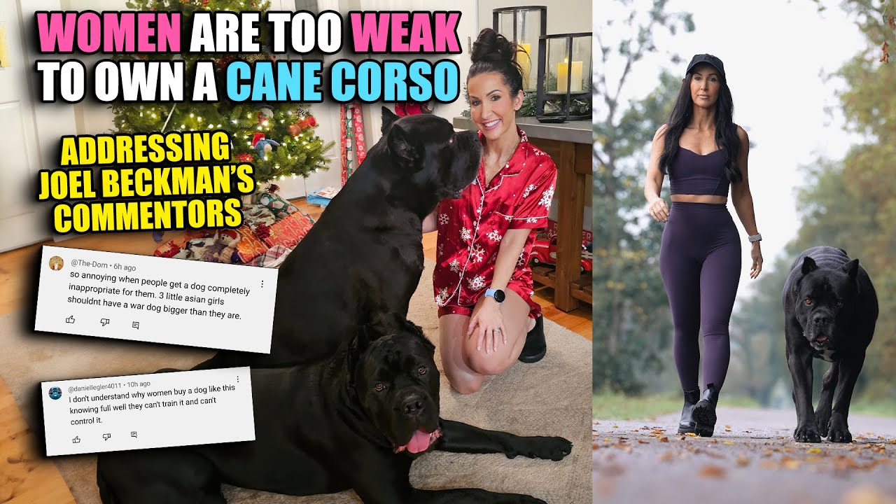 Woman Can't Own a Cane Corso | Joel Beckman's Commenters @BDTraining