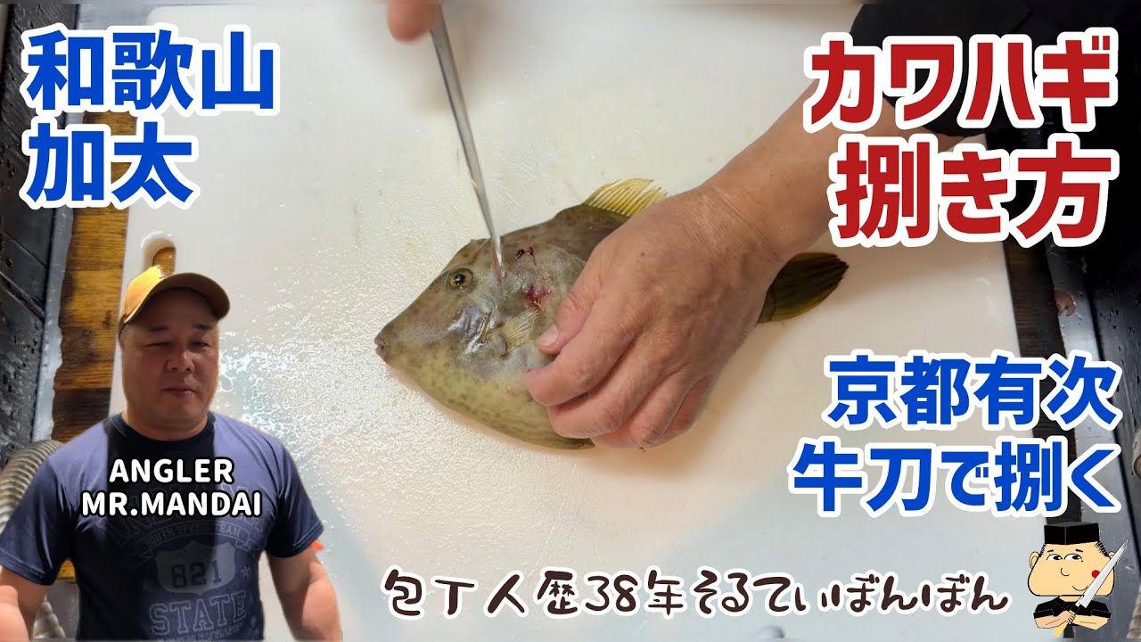 #361 【和歌山加太のカワハギをさばく】お客様が釣り上げた魚をさばく【京都有次のスウェーデン鋼の牛刀18センチでさばく】