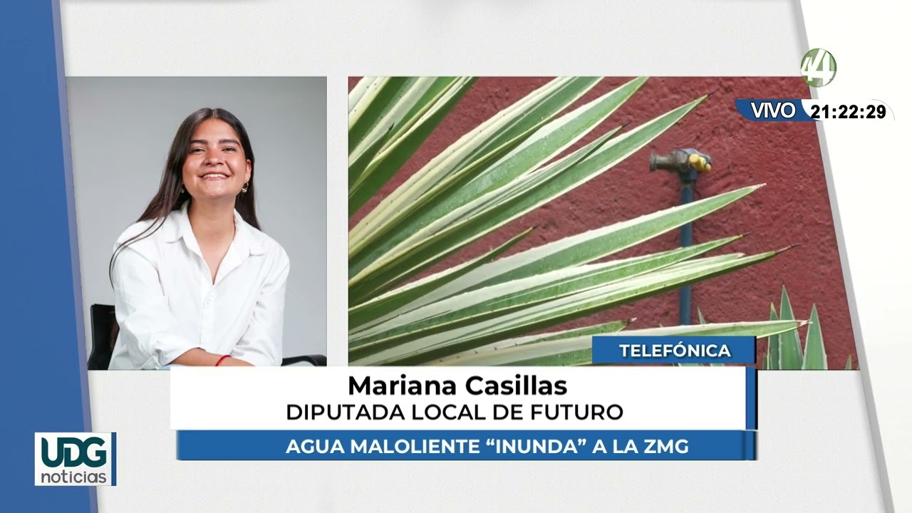 Agua maloliente 