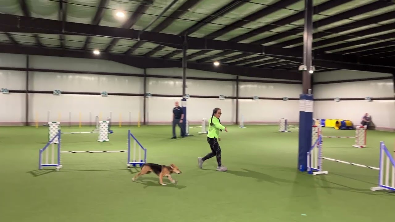 Ziti and Charissa Q in Master JWW on 1/10/26