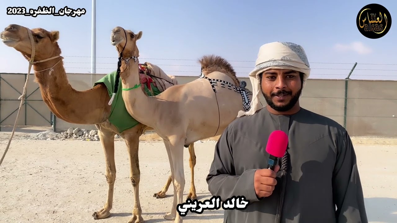 الظفره مدينة زايد اليوم الثالث