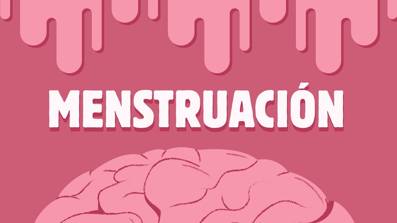 Esto es lo que tu CICLO MENSTRUAL le hace a tu CEREBRO