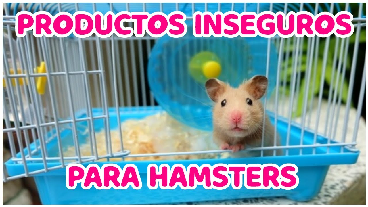 7 PELIGROSOS PRODUCTOS PARA HAMSTER