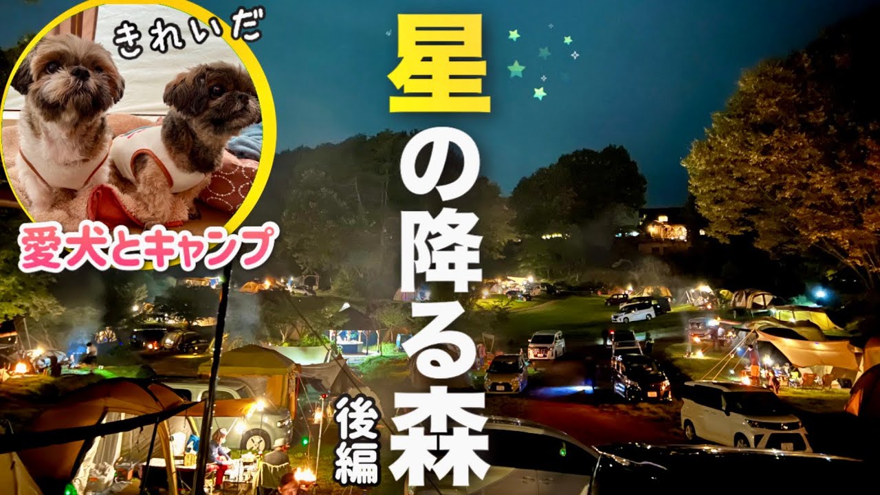 【シーズー】星の降る森キャンプ場！テント郡の灯りがとても綺麗で幸せな気持ちになりました✨