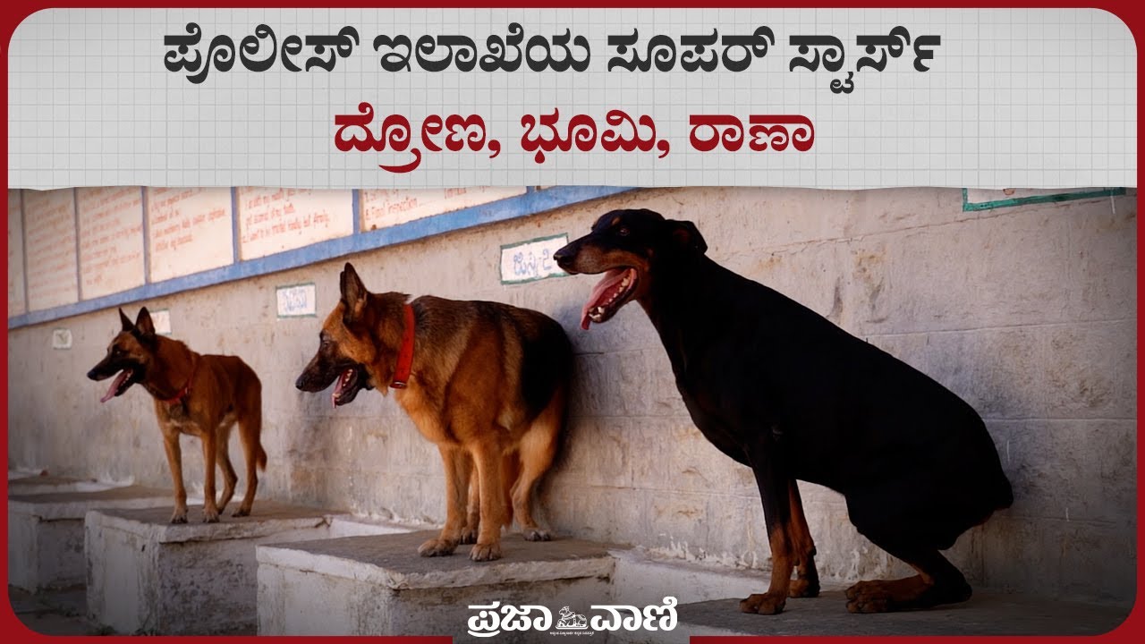 ಪೊಲೀಸ್ ಇಲಾಖೆಯ ಸೂಪರ್ ಸ್ಟಾರ್ಸ್: ದ್ರೋಣ, ಭೂಮಿ, ರಾಣಾ | Karnataka Dog Squad
