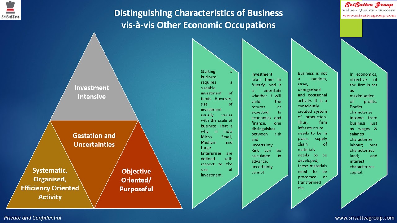 Business as an Economic Activity