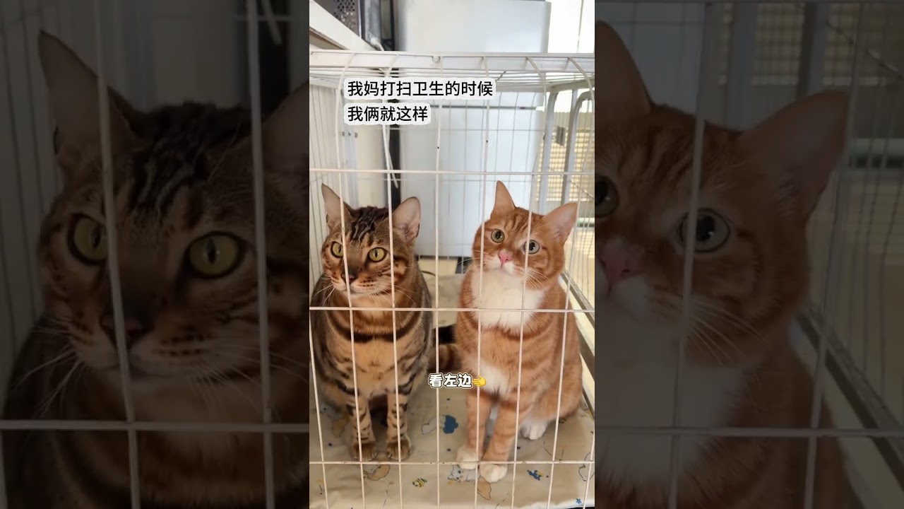 Do not make trouble while cleaning 