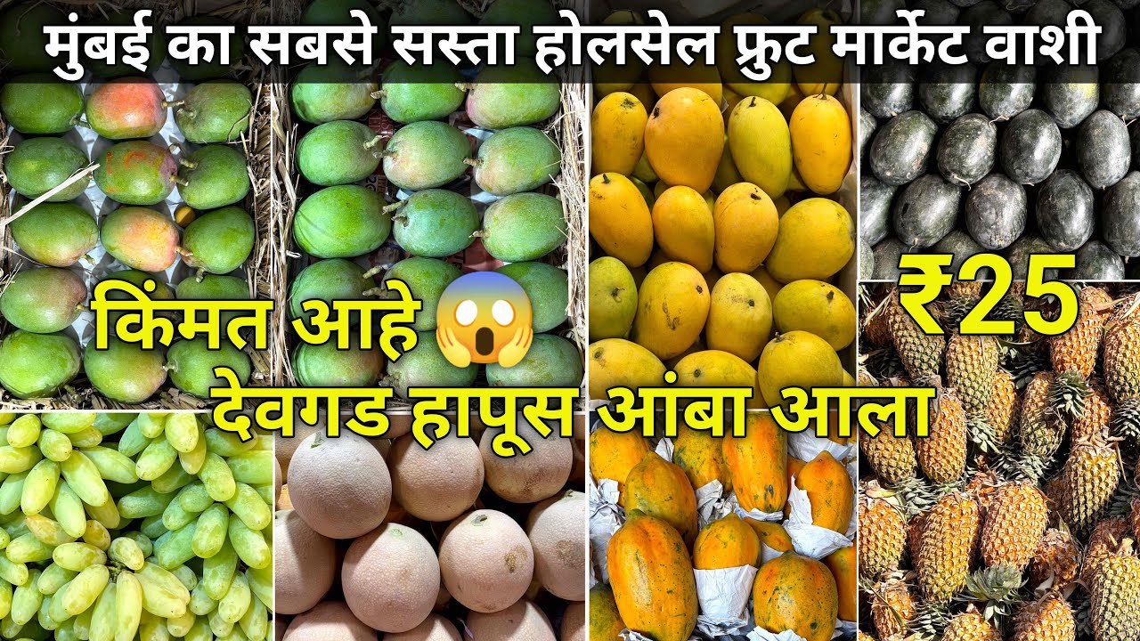 Vashi Fruit Market | Vashi Apmc Market | Apmc Fruit Market Vashi | Wholesale Fruit Market In Mumbai