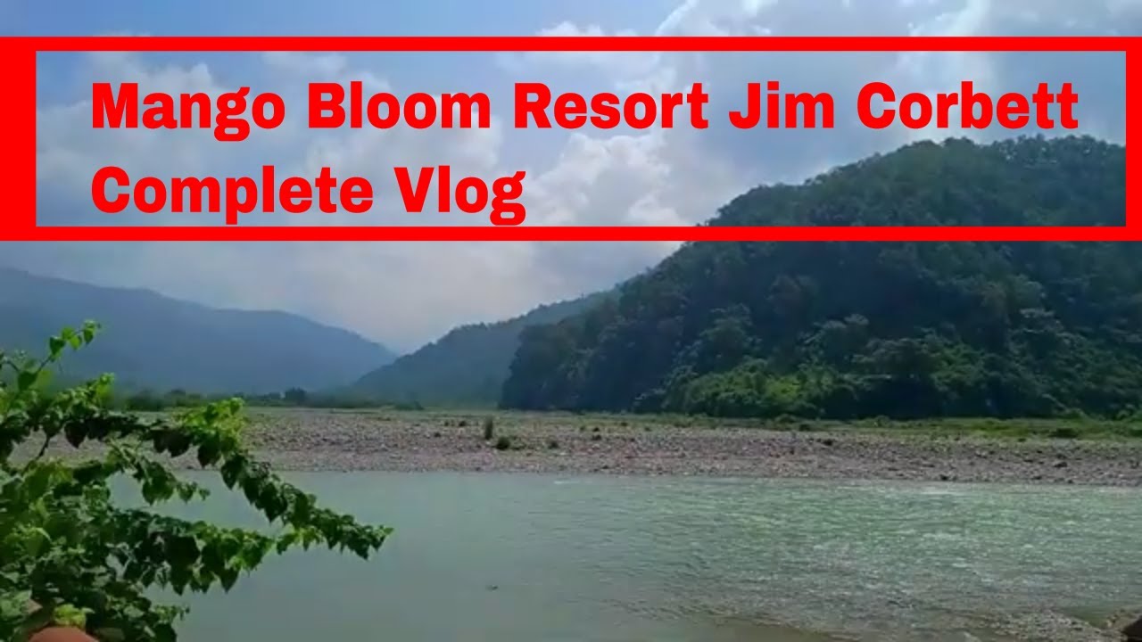 Corbett Mango Bloom Resort Complete Video | Vlog | Explore Jim Corbett | Riverside Resort | Corbett