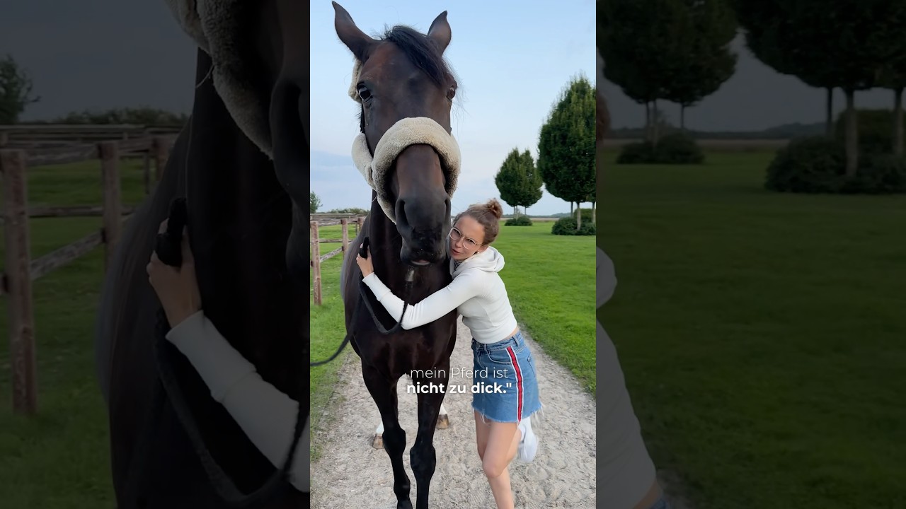 DER PERFEKTE ERNÄHRUNGSZUSTAND VOM PFERD ERKENNEN?!🤔 •Werbung•