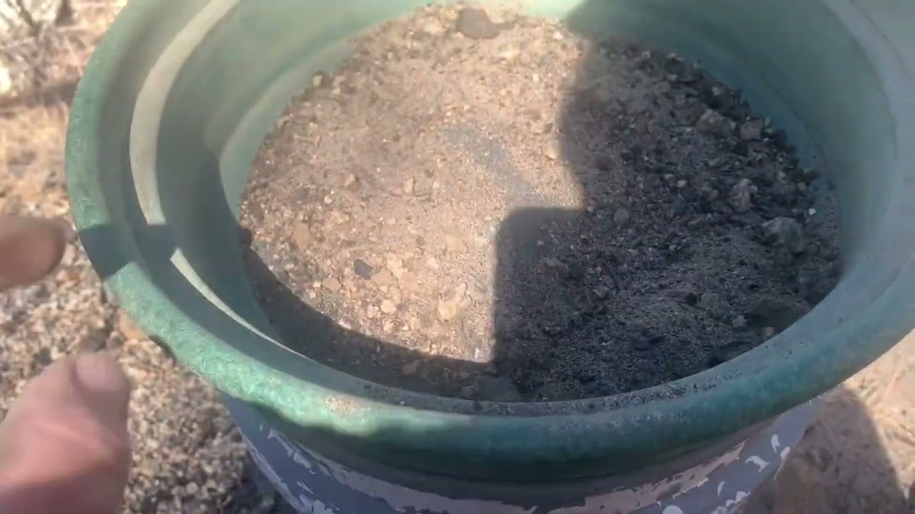 Gold in the sand !