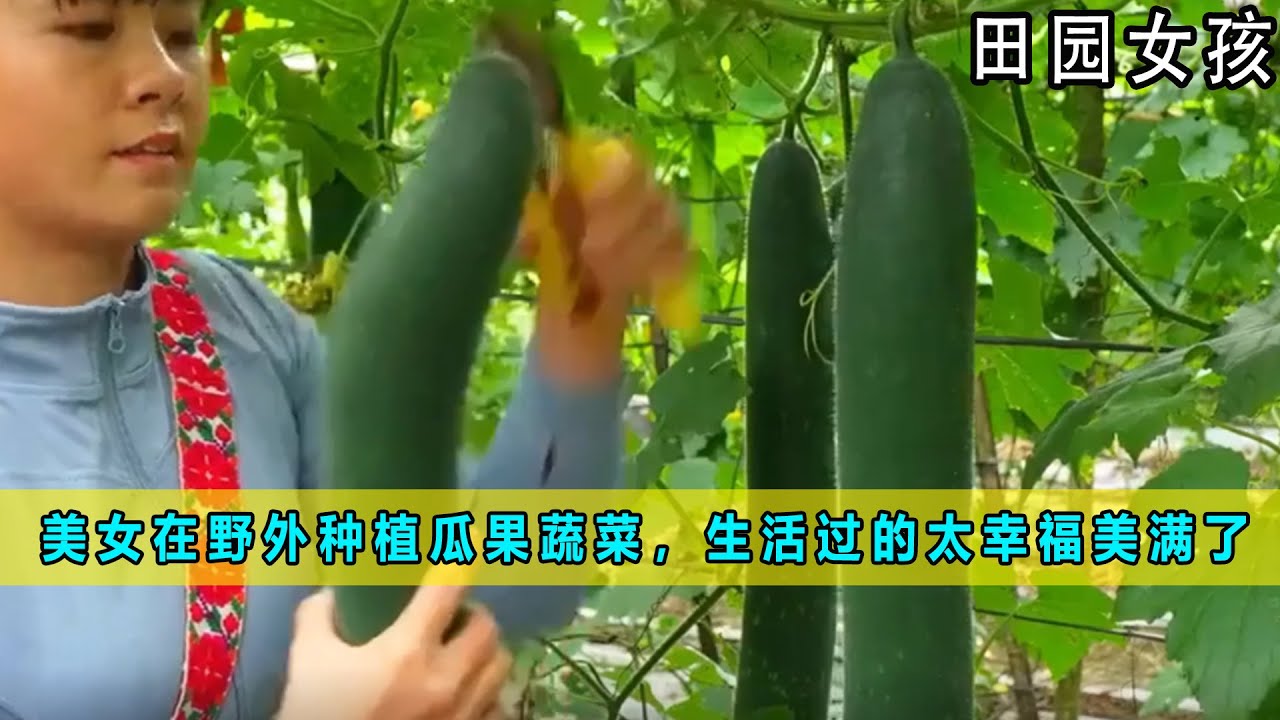 美女在野外种植瓜果蔬菜，生活过的太幸福美满了《田园女孩》05