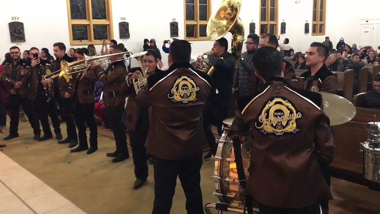 Buenos dias paloma blanca - Banda Herradura de Oro