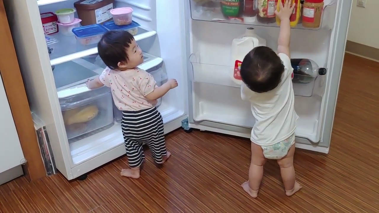 냉장고 검사하는 날 | 24개월 쌍둥이