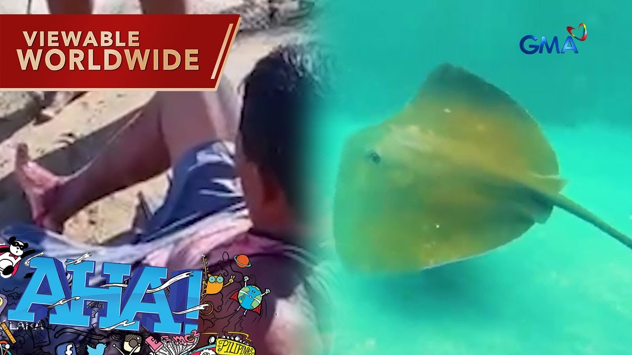Mangingisda, nadali ng buntot ng pagi?! | AHA!