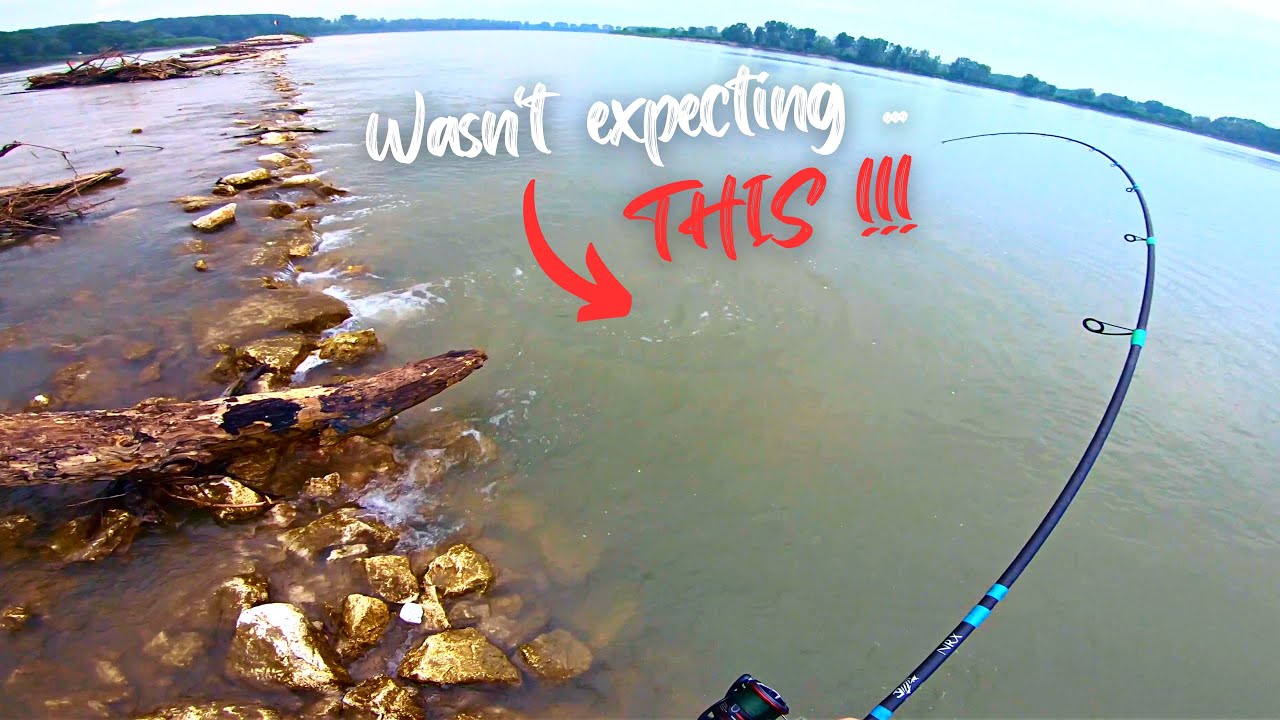 HUGE SURPRISE While ASP Fishing at the End of Floods