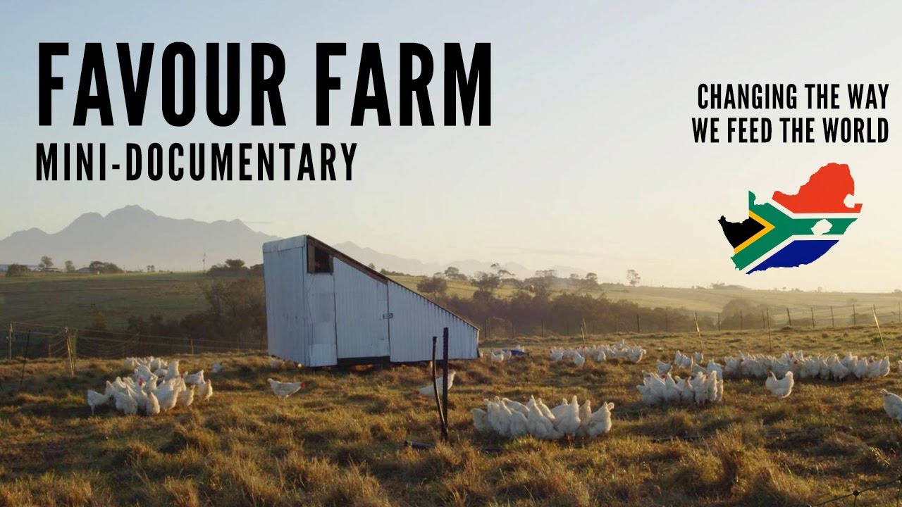 Changing the Way We Feed the World | Regenerative Agriculture